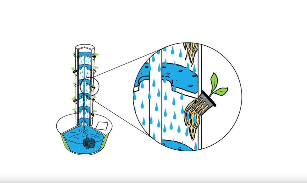 Mô hình trồng rau khí canh trụ đứng là gì? [hoạt hình]