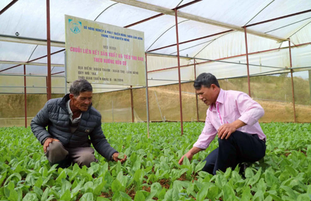 Nông nghiệp hữu cơ được chắp thêm cánh