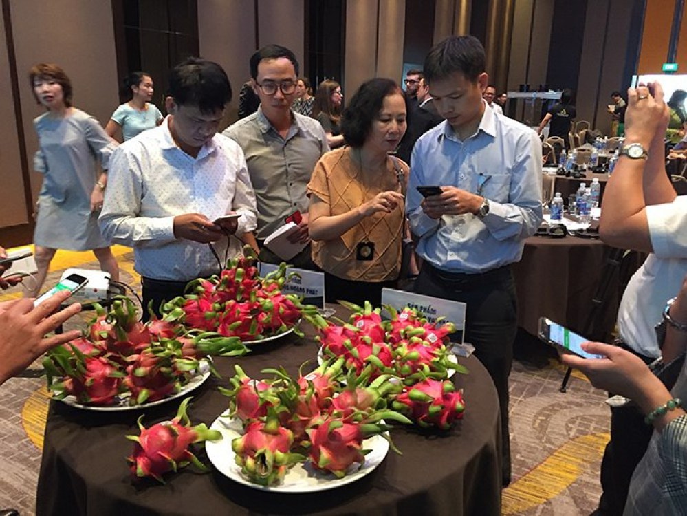 Thanh long được giá nhờ công nghệ blockchain 