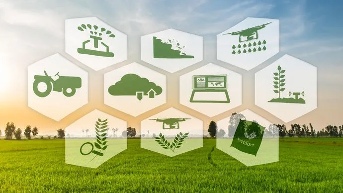 Ngành gạo Đài Loan thành công trong việc dùng 'big data' để đối phó với biến đổi khí hậu 