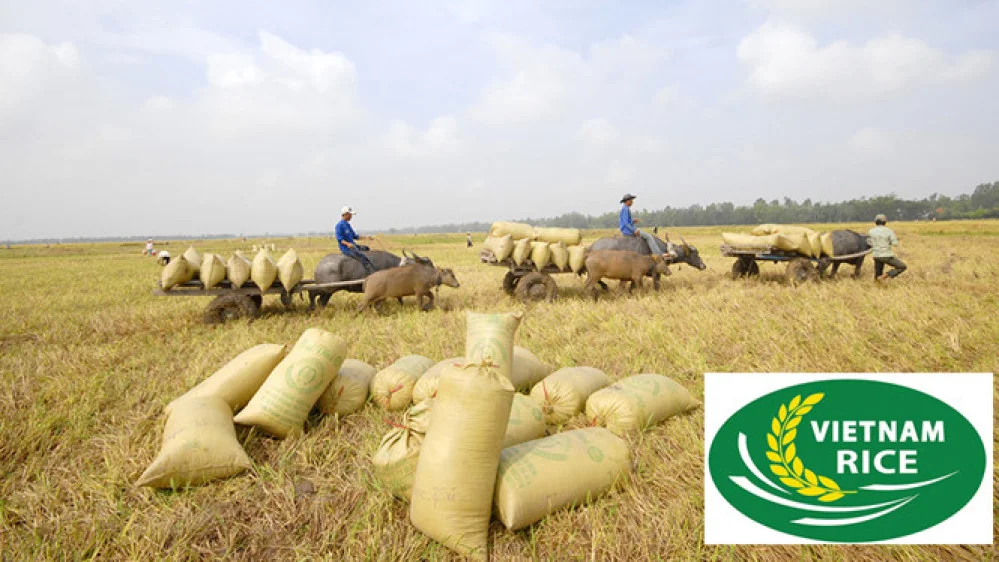 Gạo Việt đã có logo