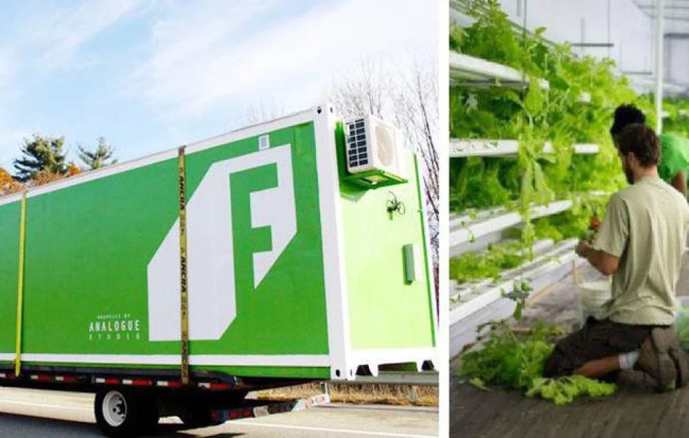  Freight Farms và công nghệ trồng rau tương lai: Không đất, không hóa chất, bất chấp thời tiết, hiệu quả gấp 80 lần và thu về 39.000 USD mỗi container 