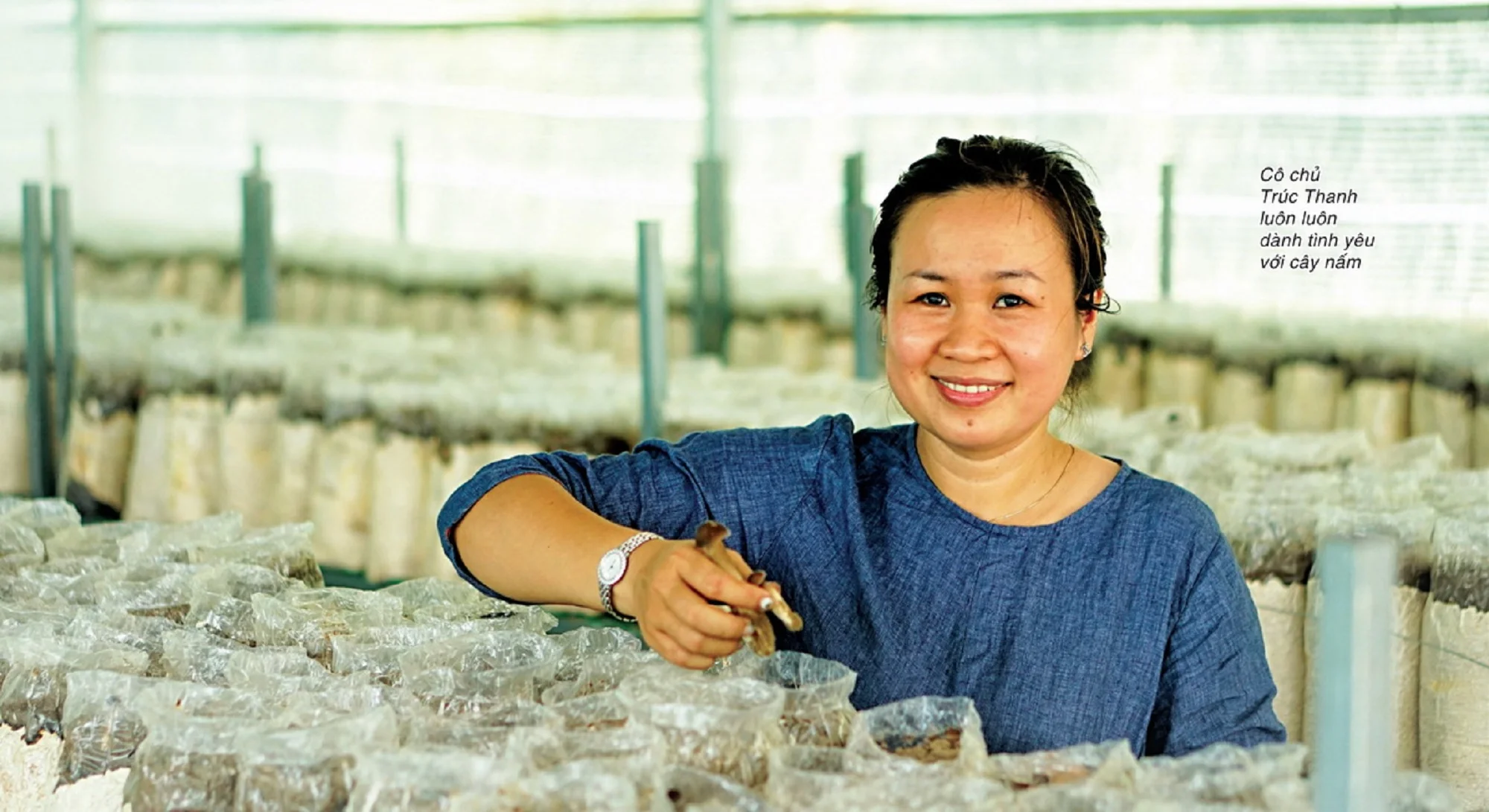 Mã số N3012: Khởi nghiệp từ nấm