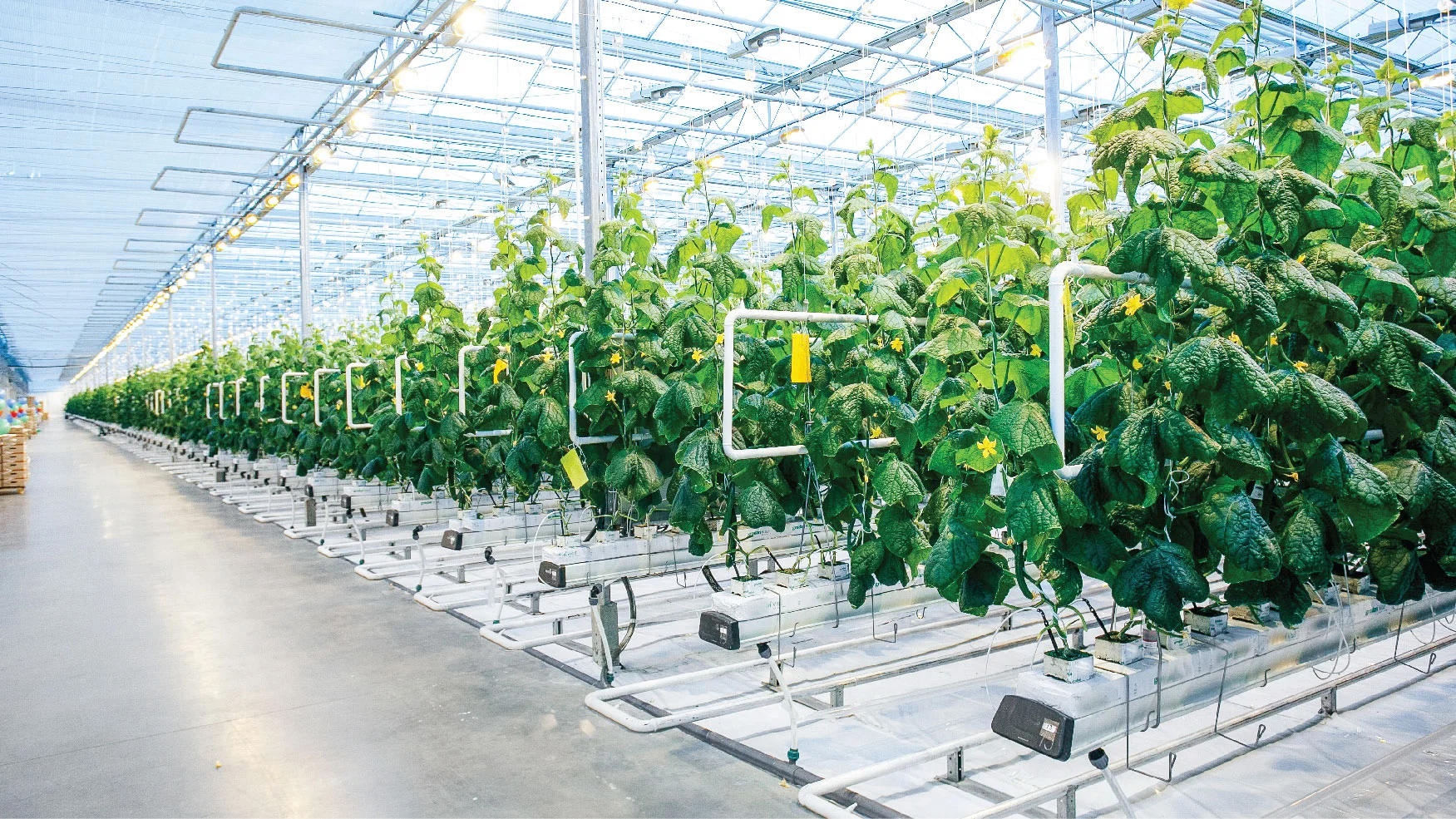 Cuộc thi “Sáng tạo trong tầm tay” năm 2019 trong lĩnh vực Nông nghiệp Vùng Đông Nam Bộ