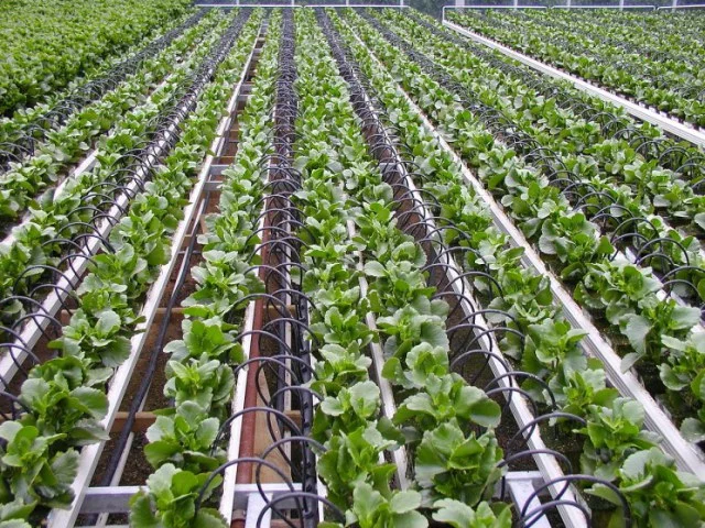 7 giải pháp chống hạn nông nghiệp đáng chú ý