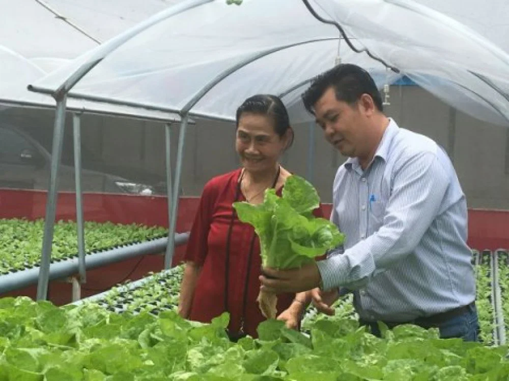 Nông nghiệp thành phố Hồ Chí Minh hướng tới giống cây trồng chất lượng cao