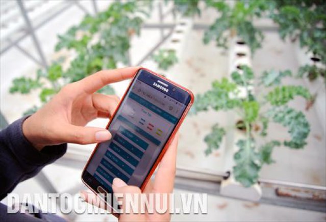 Ứng dụng công nghệ thông tin trong việc trồng và chăm sóc rau tại nông trại thực nghiệm thuộc Công viên Phần mềm Quang Trung (thành phố Hồ Chí Minh).
