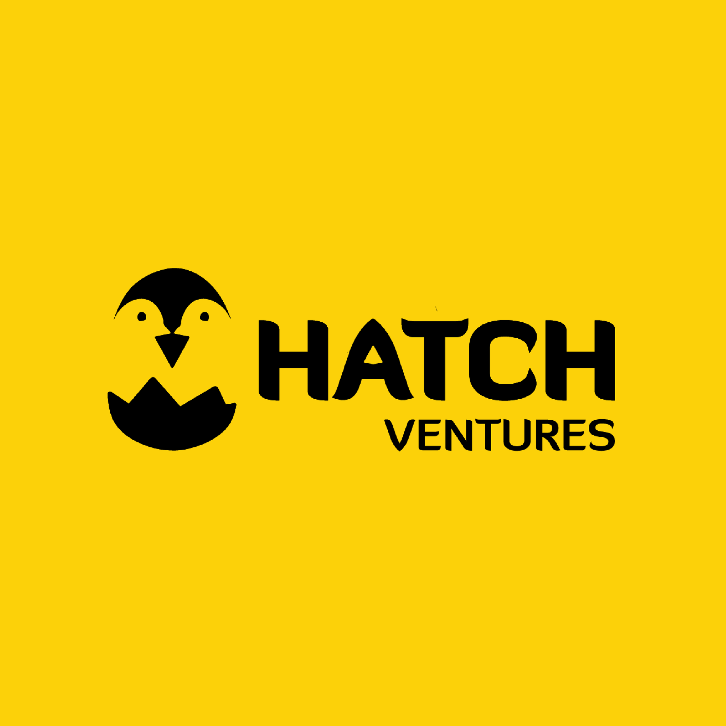 Mã số N4019: Quỹ đầu tư mạo hiểm Hatch Vietnam - Khát vọng ươm mầm khởi nghiệp 