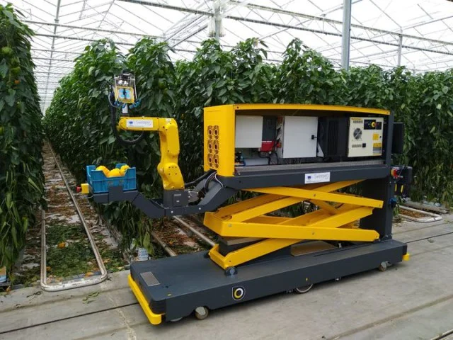 Câu chuyện tự động hóa nông nghiệp của Hà Lan