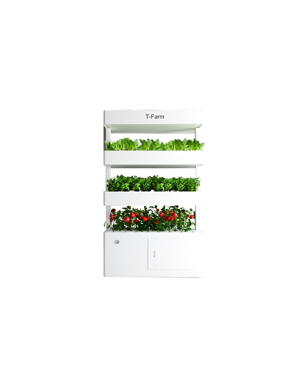 Mã số N1098: T-Farm - Khu vườn trong nhà