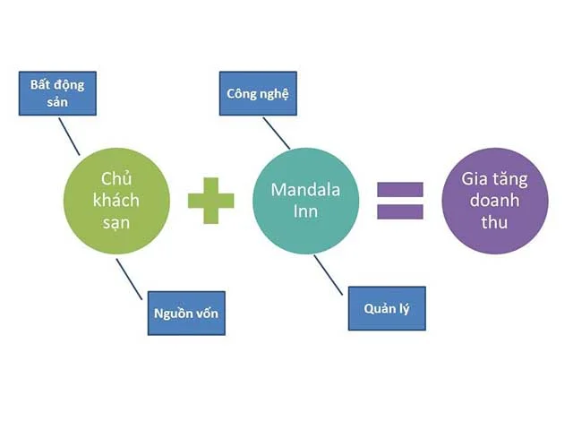 dautu_a2.jpg