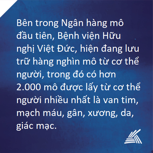 Điểm tin ngày 19/9/2019