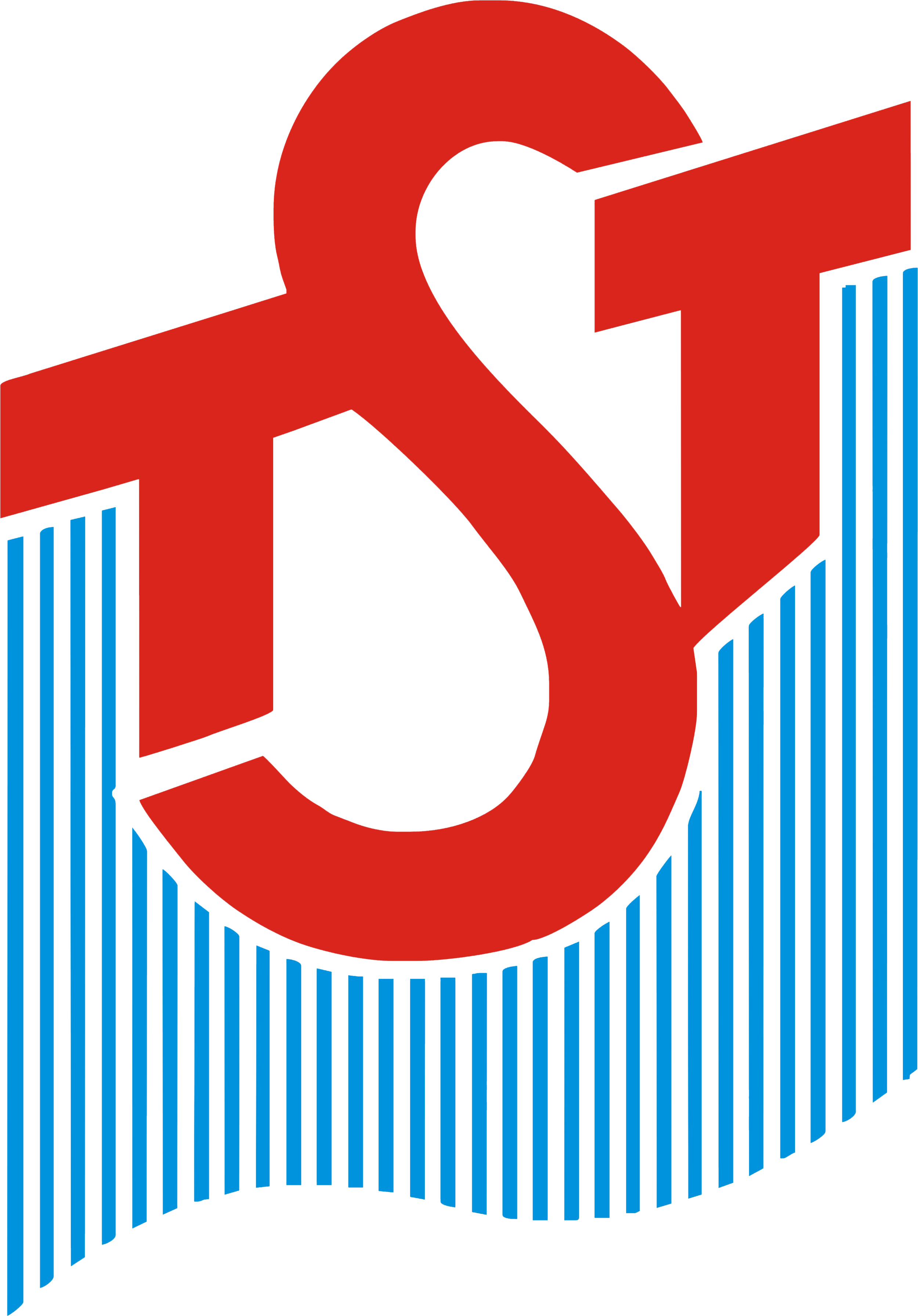 Logo TST.png