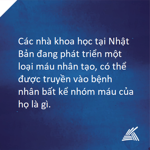 Điểm tin ngày 9/10/2019