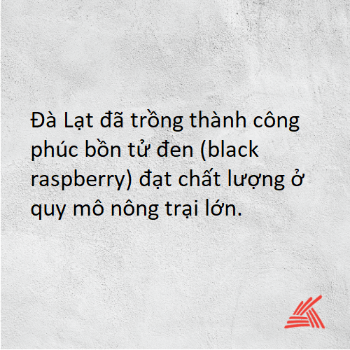 Điểm tin ngày 14/10/2019