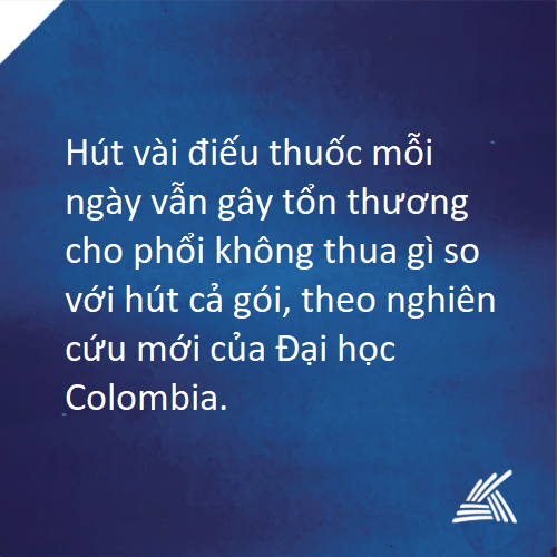 Điểm tin ngày 15/10/2019