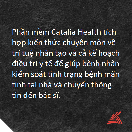 Chọn 511.png