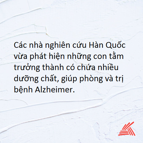 Chọn 4.png