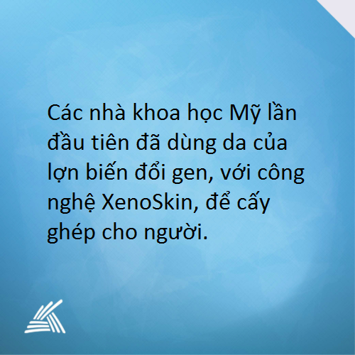 Chọn 1.png
