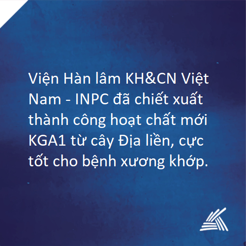 Điểm tin ngày 05/11/2019