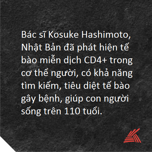 Chọn 1.png