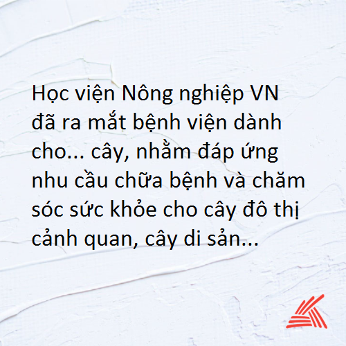 Chọn 2.png