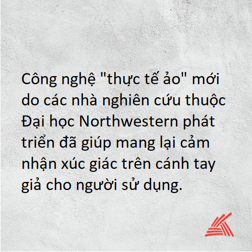 Chọn 2.png