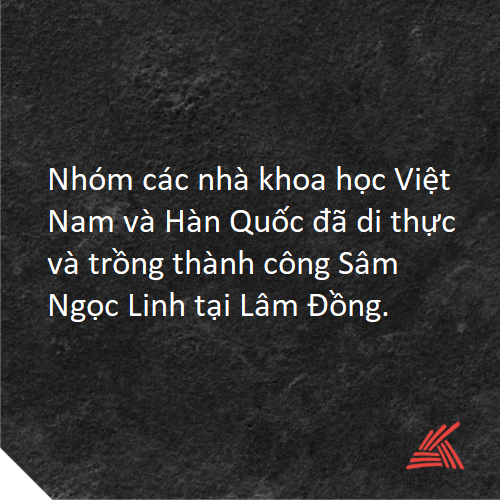 Chọn 3.png