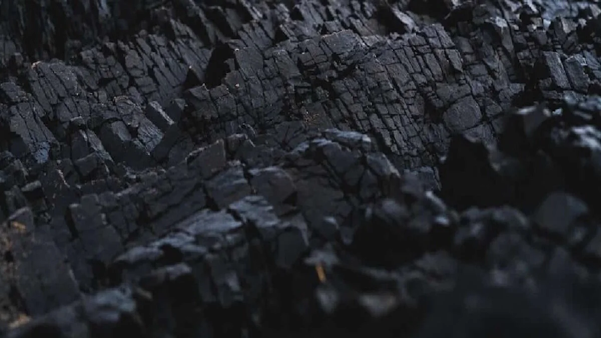 Chế tạo than sinh học từ rác thực vật