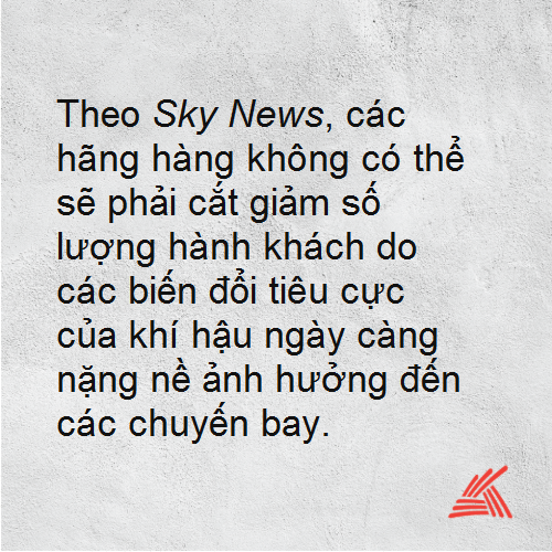 Tin 4.png