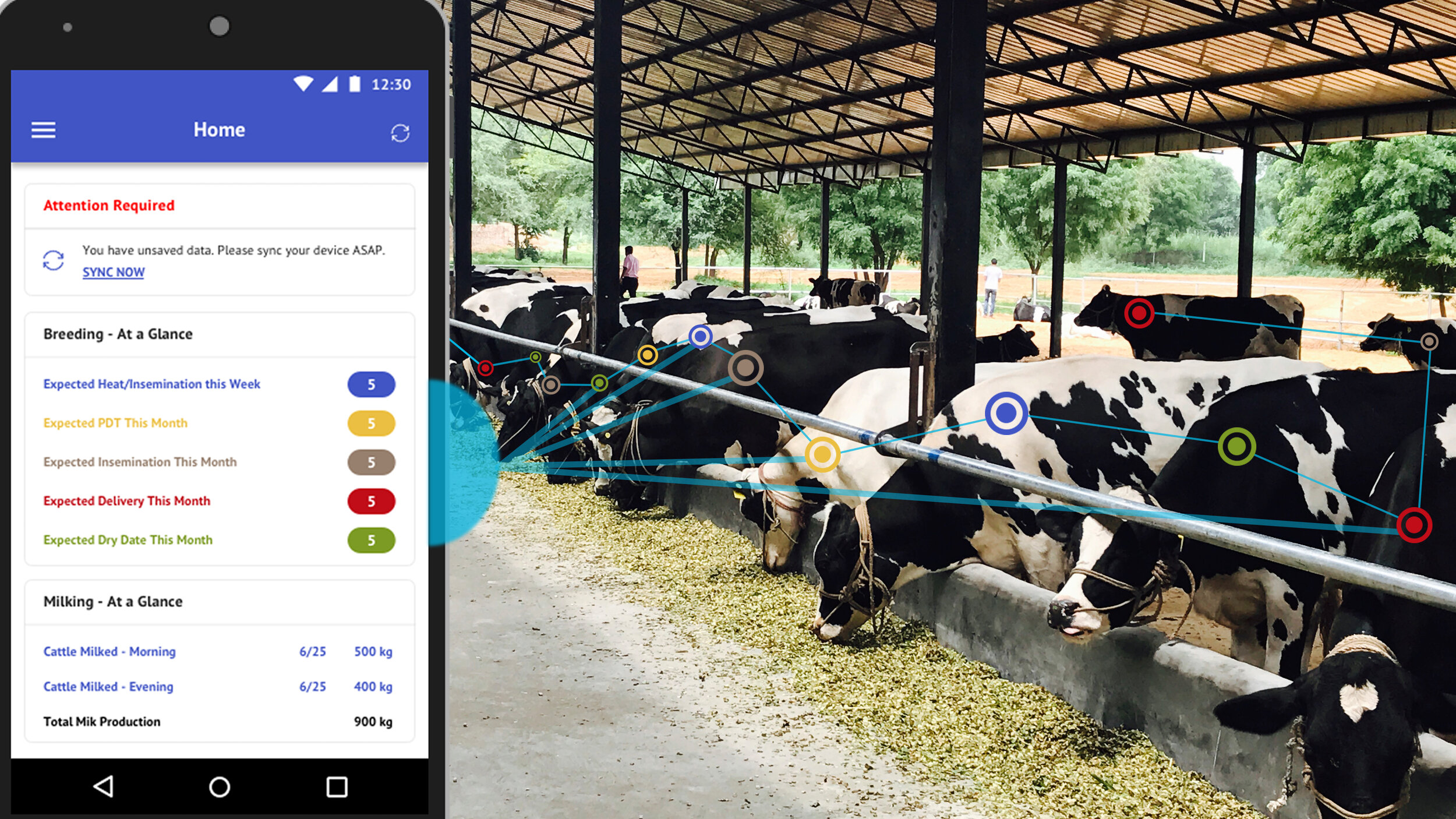 Những  Startup thú vị trong ngành công nghiệp Sữa