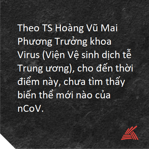 tin 2.png