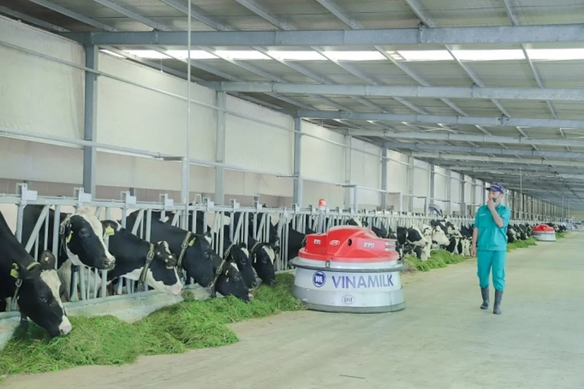 Doanh nghiệp sữa: Chủ động đón đầu công nghệ hiện đại