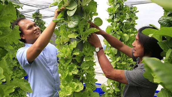 Mã số N1003: Ero-Farm - Cỗ máy trồng rau trên không, giải pháp cho nông nghiệp đô thị
