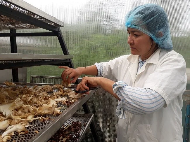 Sở KH&amp;CN TP.HCM hỗ trợ kinh phí chuyển giao công nghệ trong nông nghiệp 