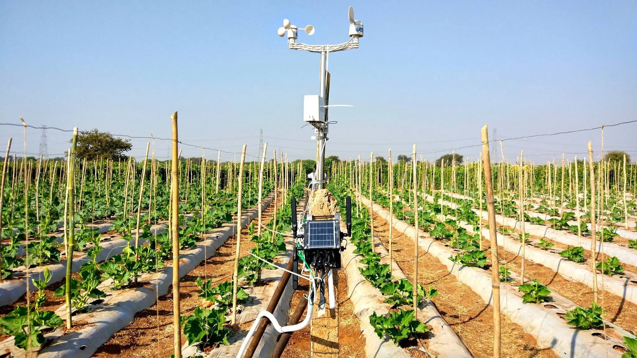 5 cách mà công nghệ 5G sẽ làm thay đổi lĩnh vực nông nghiệp