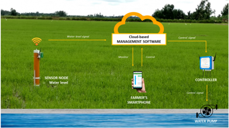 Tiết kiệm nước trồng lúa bằng giải pháp IoT cho nông dân miền Tây