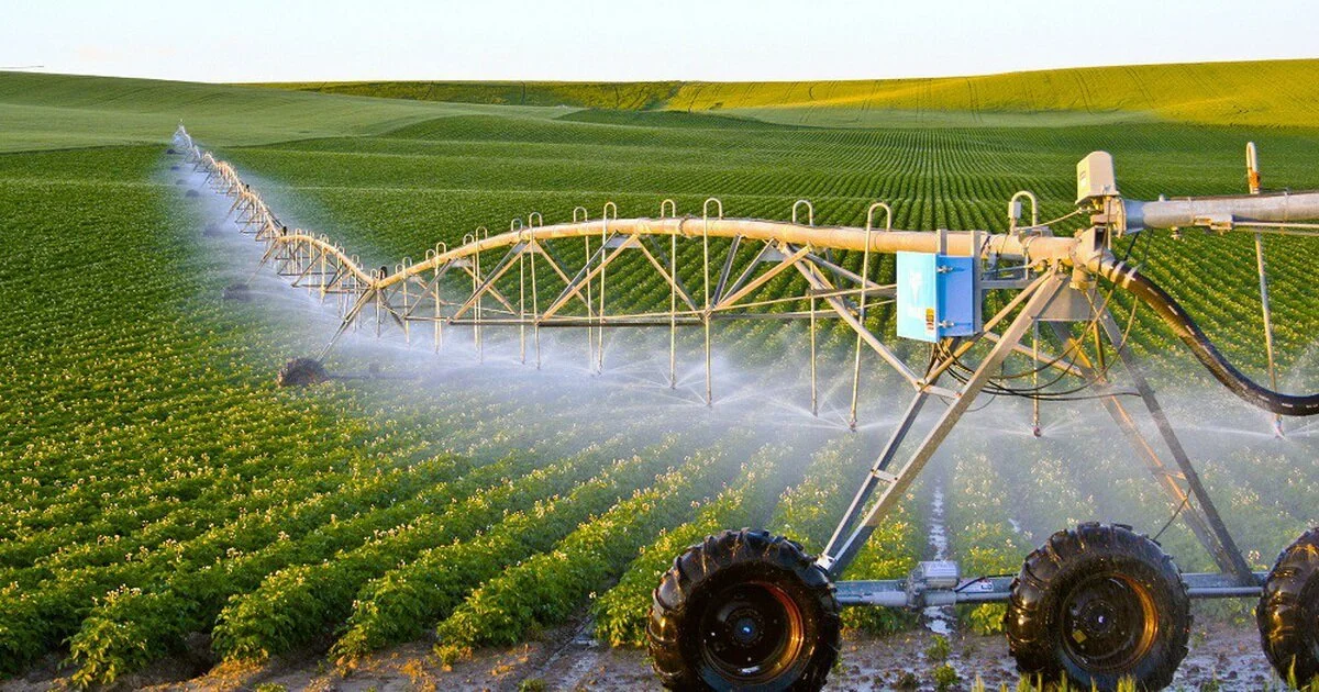 Đẩy mạnh đổi mới sáng tạo giúp nâng cao năng suất chất lượng nông nghiệp Việt Nam 