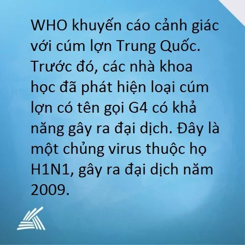 Tin nhanh 4.jpg