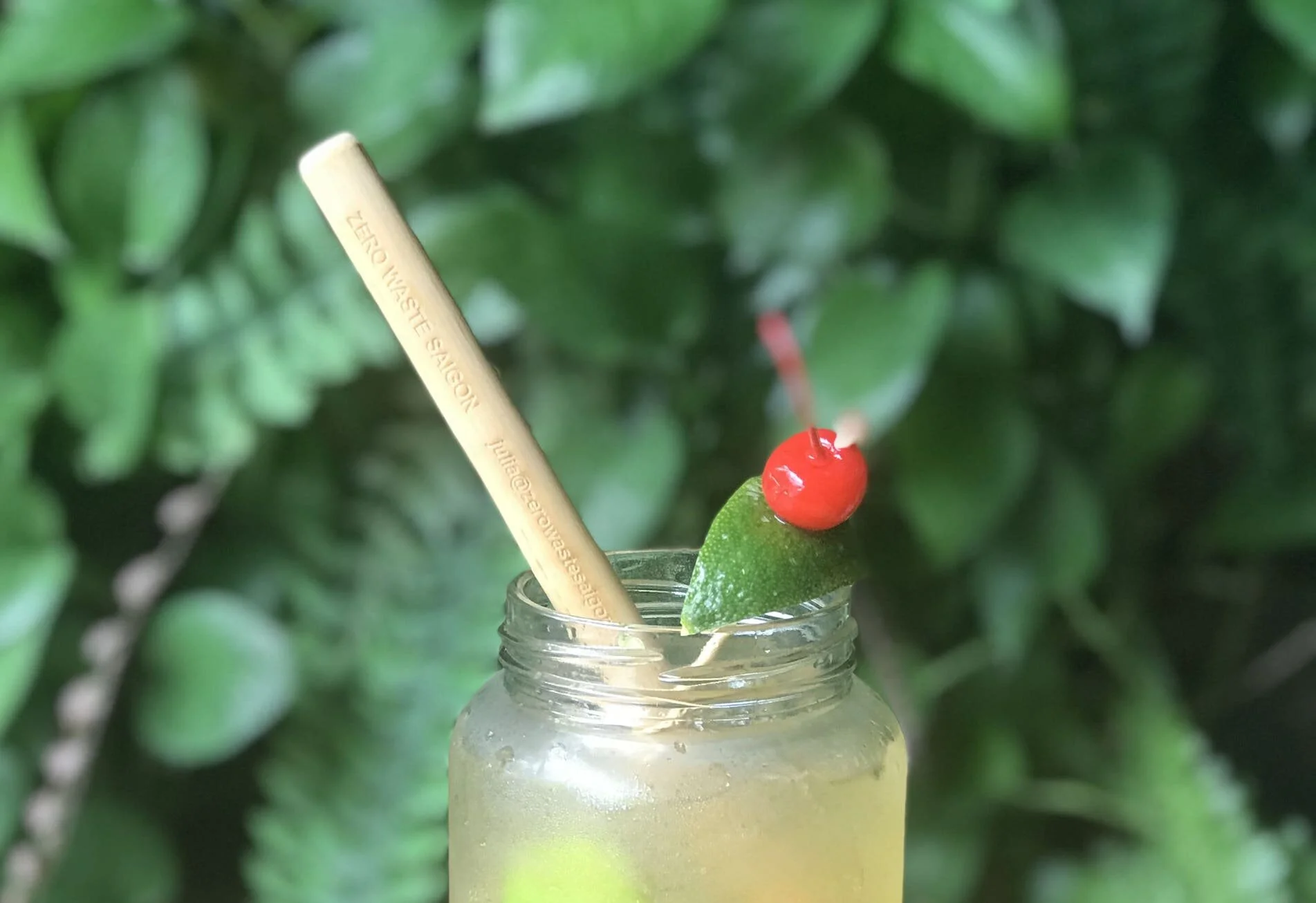 Founder của Seed Planter: Mô hình startup zero-waste sáng tạo