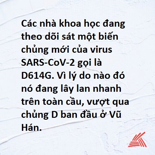 Tin nhanh 5.jpg
