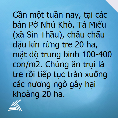 Tin nhanh 4.png