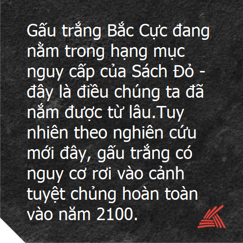 Tin nhanh 3.png