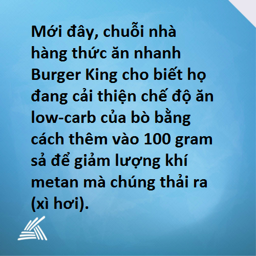 Tin nhanh 4.png