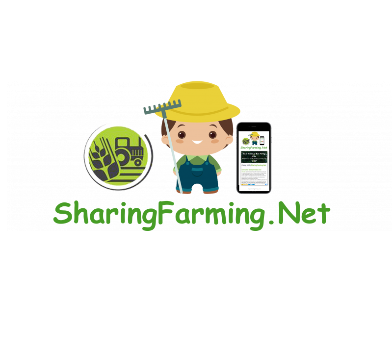 Mã số N1155: SharingFarming.Net - Nông dân 4.0