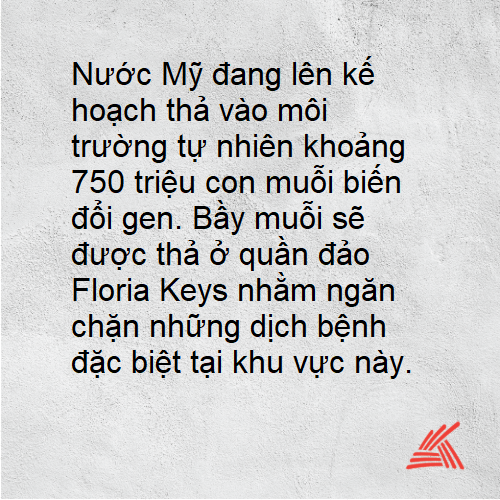 Tin nhanh 1.png