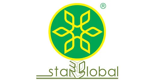 Công ty Cổ phần Giải pháp chuyên gia Star Global 