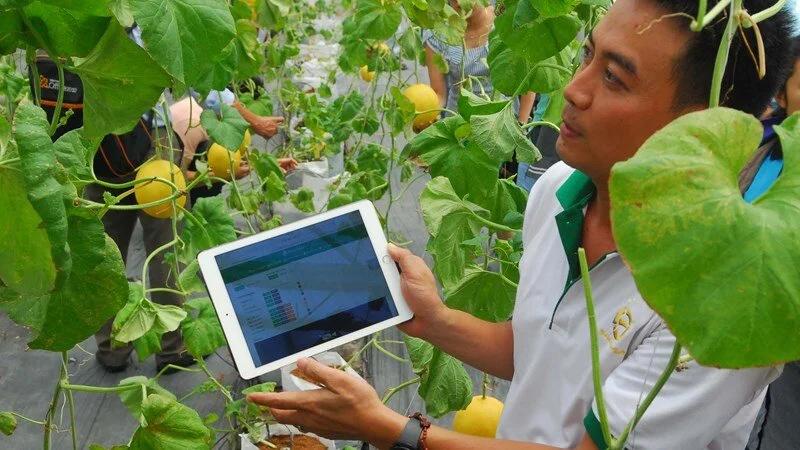 Đào tạo nghề đáp ứng nhu cầu phát triển nông nghiệp công nghệ cao