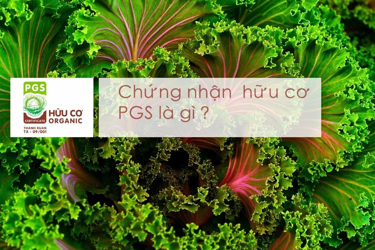 PGS - Hệ thống chứng nhận tin cậy cho sản phẩm hữu cơ