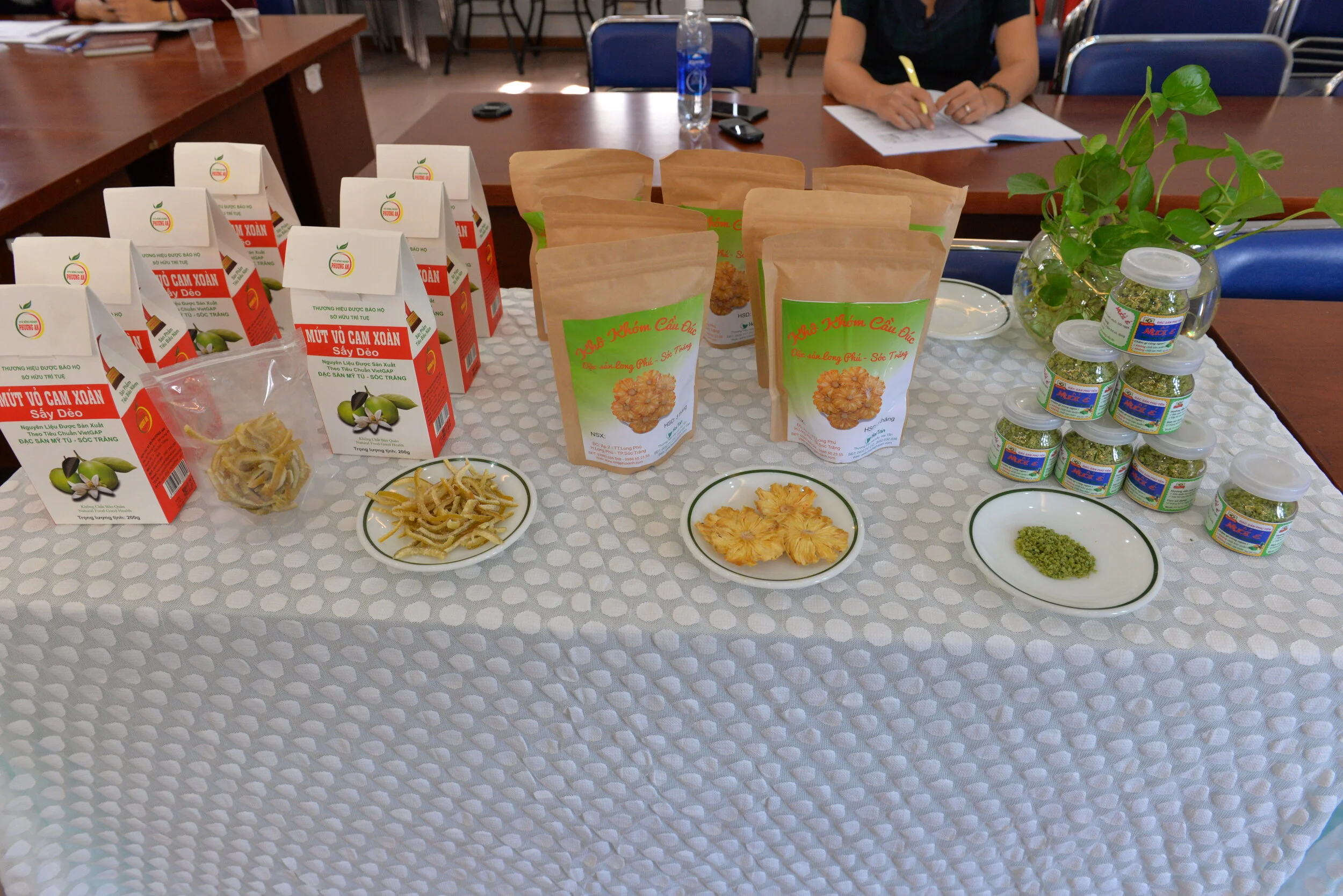 TP.HCM bước đầu gặt hái thành quả từ hoạt động đào tạo nhân lực Quản trị tài sản trí tuệ